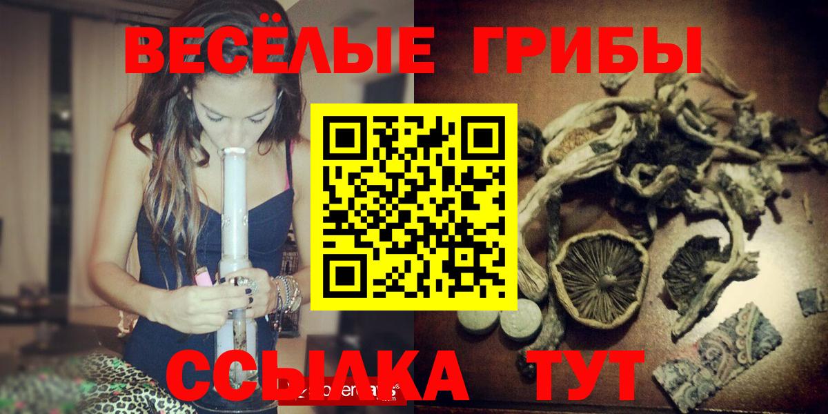 Псилоцибиновые грибы Cubensis  Псилоцибиновые грибы Psilocybe  Тверь  Вход с VPN 