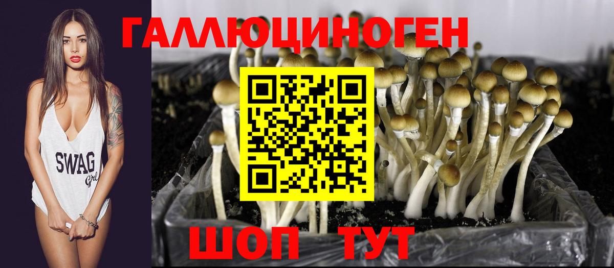 Галлюциногенные грибы прущие грибы Тверь
