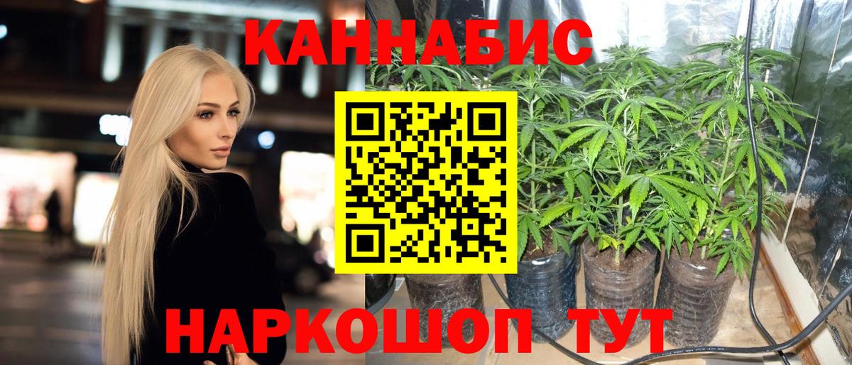 Каннабис VHQ  Марихуана план  Тверь  Вход с VPN 